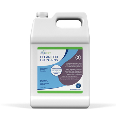 96080 Clean for Fountains - 1 gal / 3.78 L